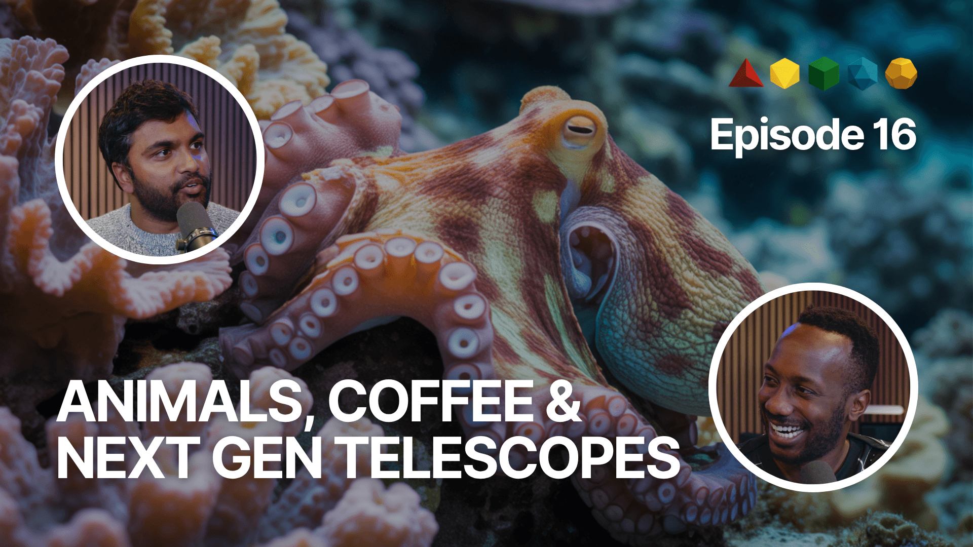 Octopus Camouflage, Orcas vs. Sharks, Civet Coffee & Sub-Diffraction Telescope Tech